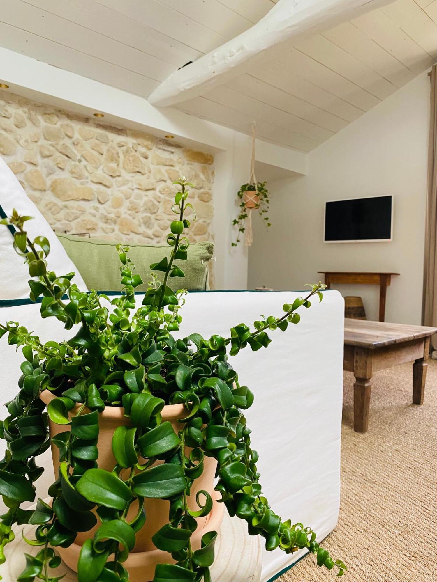 Apartamento La Bastide De Guiche Entre Ocean Et Montagnes Exterior foto